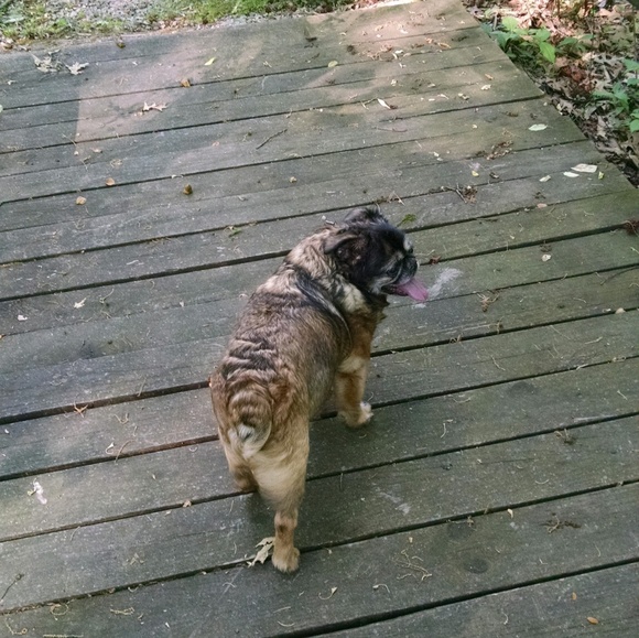 Bennie said Bundle!!! - Picture 1 of 1